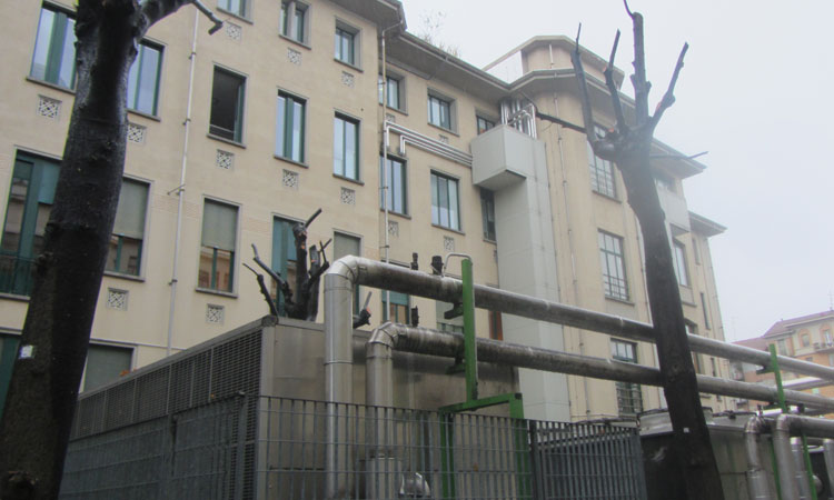 Molinetti_04.jpg